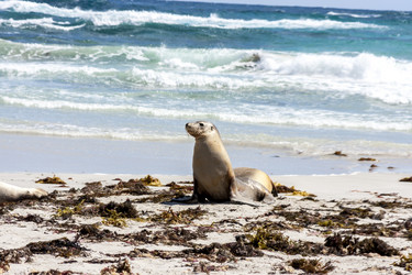 Similar image 21348147