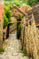 Similar image 21348153