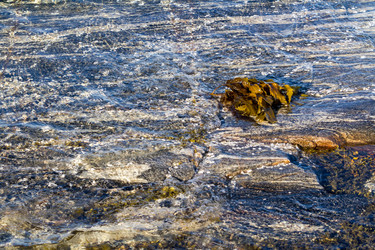 Similar image 21348163