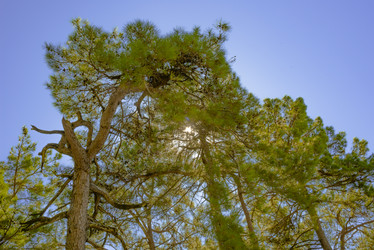 Similar image 21348221