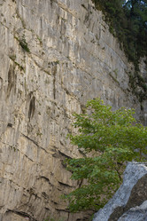 Similar image 21348224