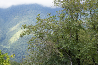 Similar image 21348235