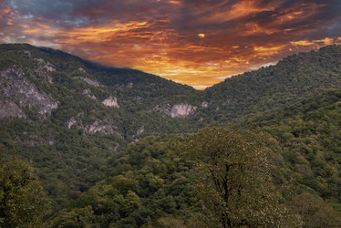 Similar image 21348236