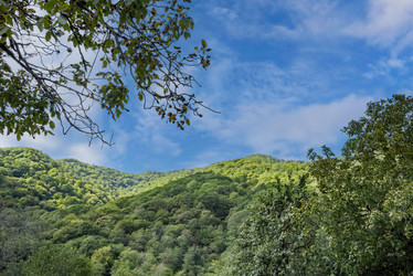 Similar image 21348259