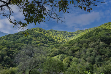 Similar image 21348261