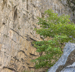 Similar image 21348262