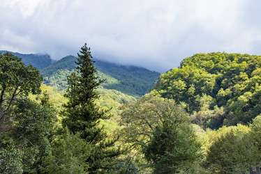 Similar image 21348263