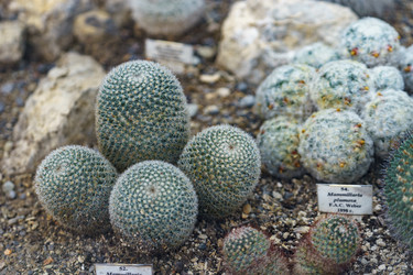 Similar image 21349386