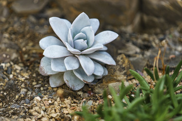 Similar image 21349387