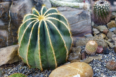 Similar image 21349388