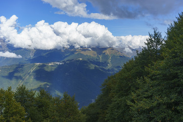 Similar image 21349391