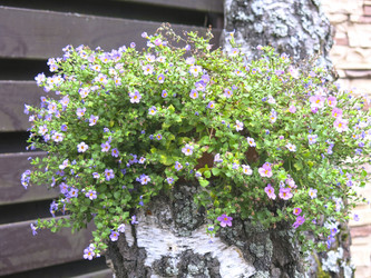 Similar image 21348386