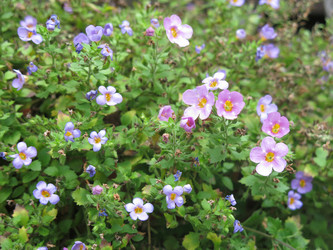 Similar image 21348387