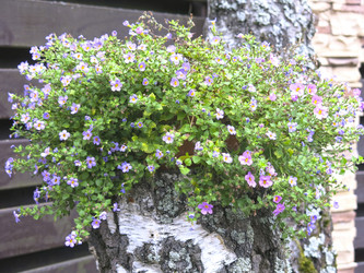 Similar image 21348388