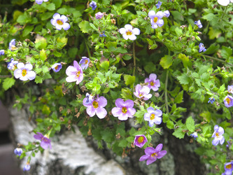 Similar image 21348389