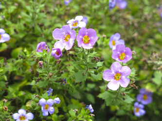 Similar image 21348390