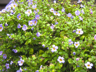 Similar image 21348391