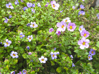 Similar image 21348396