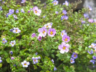 Similar image 21348397