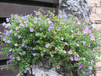 Similar image 21348399