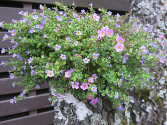 Similar image 21348400