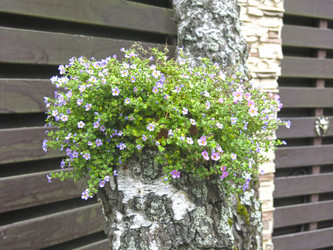 Similar image 21348401