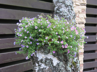 Similar image 21348402