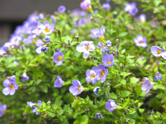 Similar image 21348403