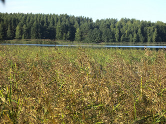 Similar image 21348404