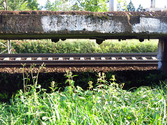 Similar image 21348406