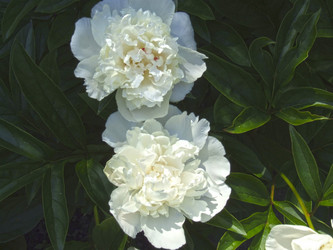 Similar image 21348409