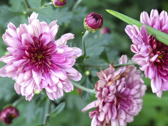 Similar image 21348411