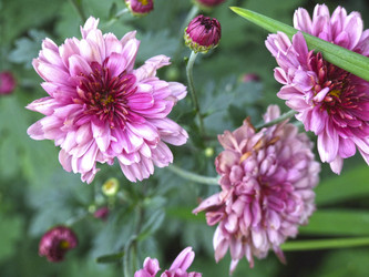 Similar image 21348412