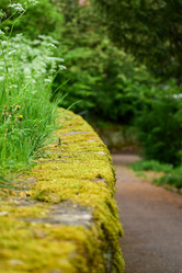 Similar image 21375563