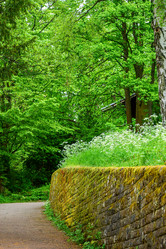 Similar image 21353226