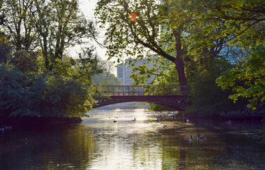 Similar image 21358682