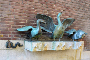 Similar image 21357811