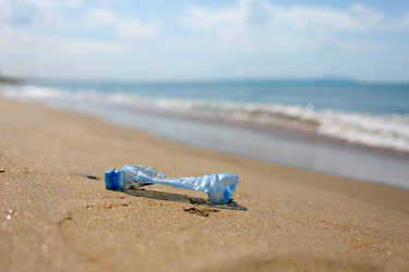 Similar image 21348683