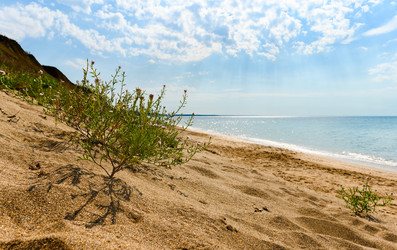 Similar image 21348684