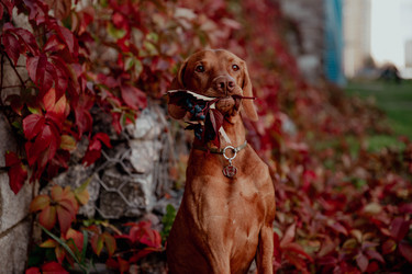 Similar image 21352623