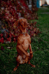 Similar image 21352624