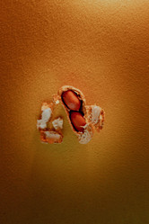 Similar image 21352626