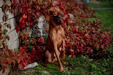 Similar image 21352631