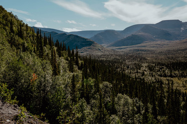 Similar image 21352632