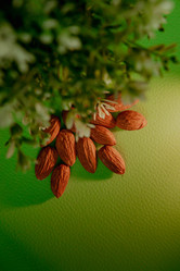 Similar image 21352634