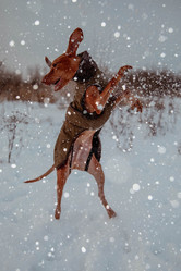 Similar image 21352652