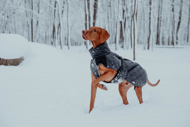 Similar image 21352655