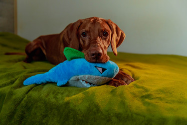 Similar image 21352656