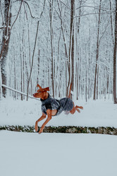 Similar image 21352658