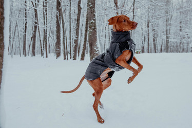 Similar image 21352659